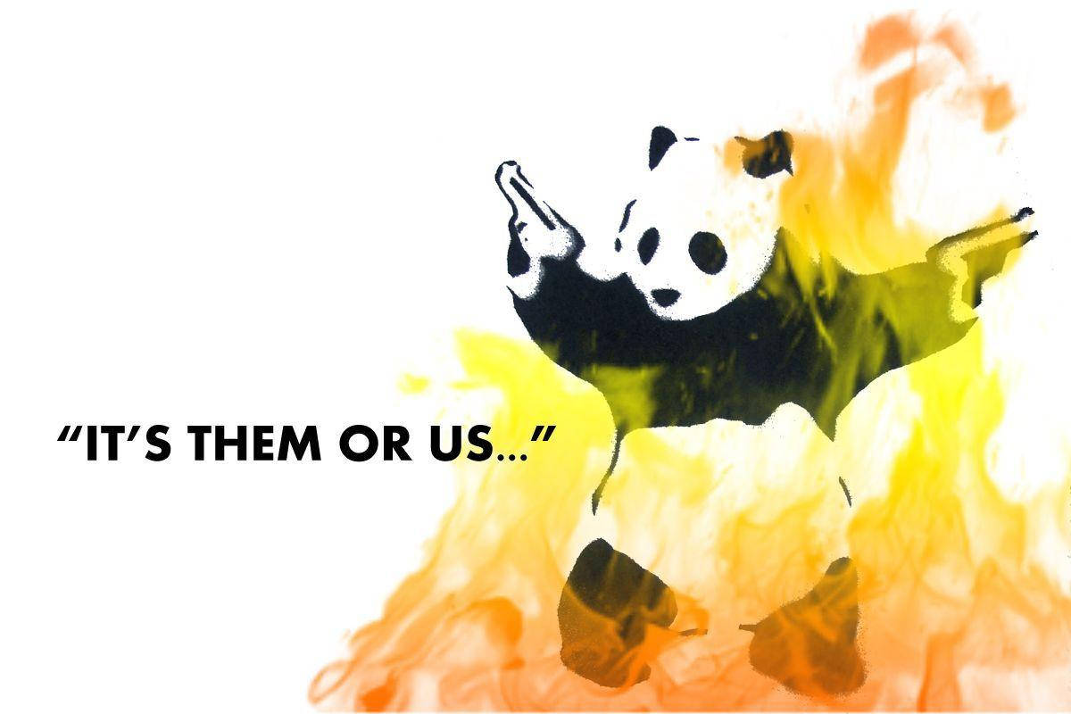 Crazy Panda Flames Meme Background
