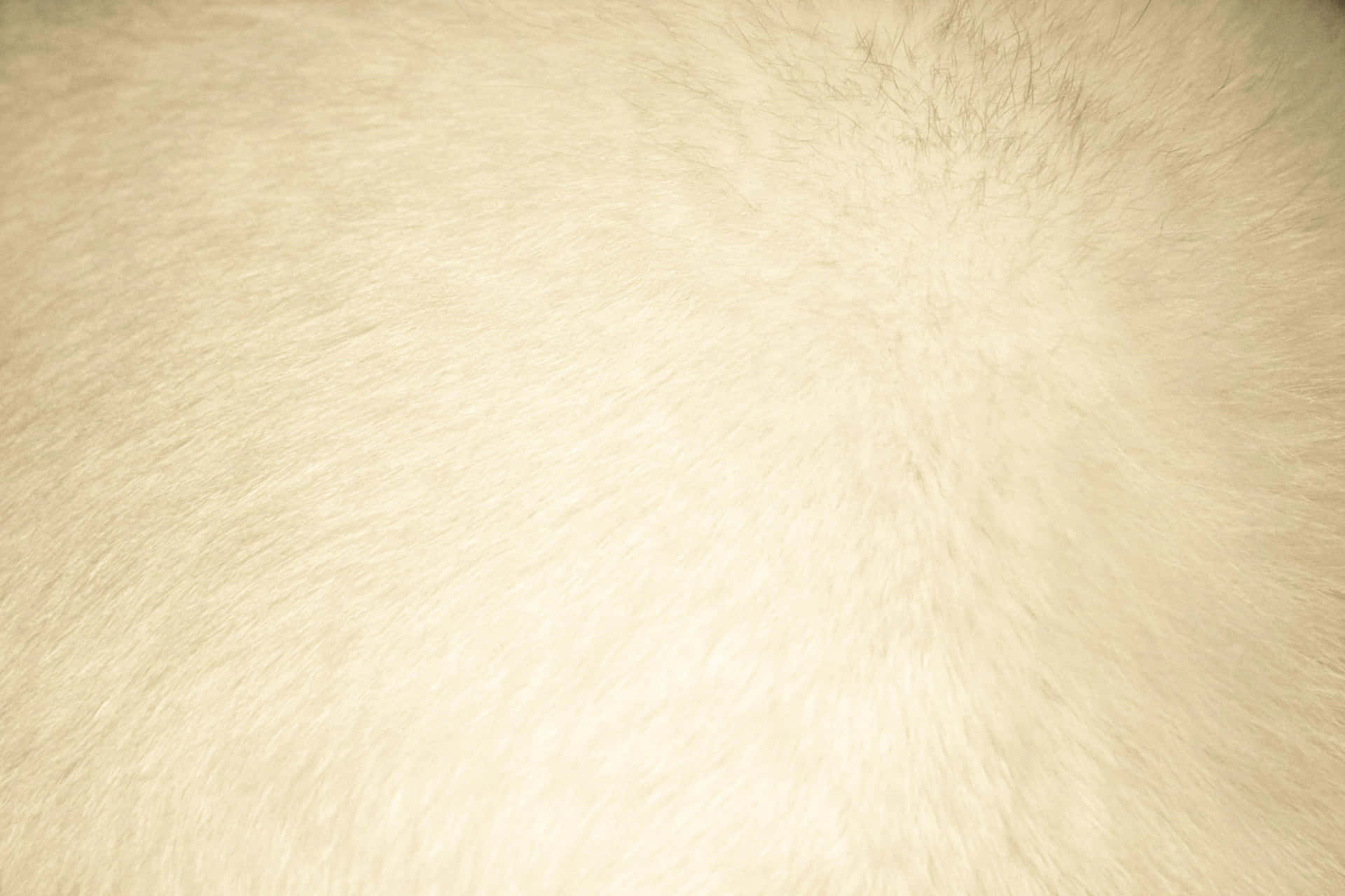 Cream Fur Fabric Texture Background