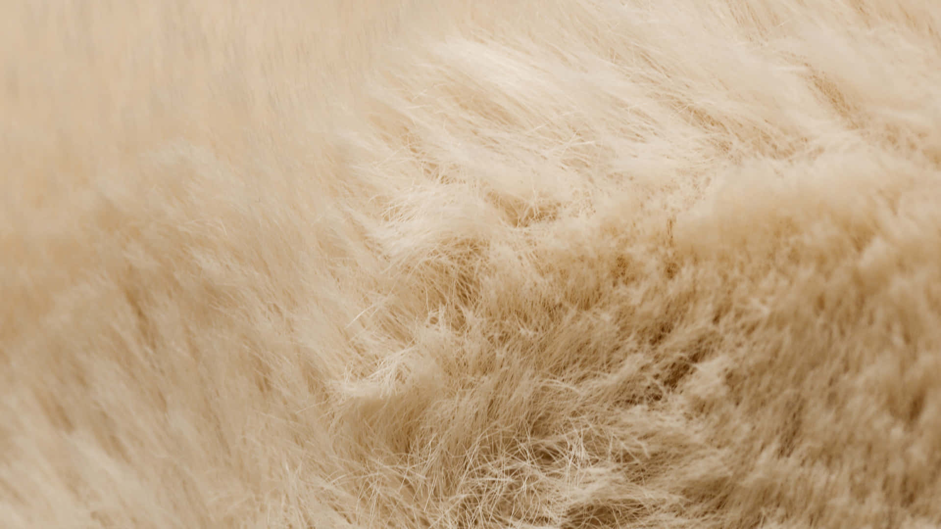 Thick And Fluffy Fur Cream Background