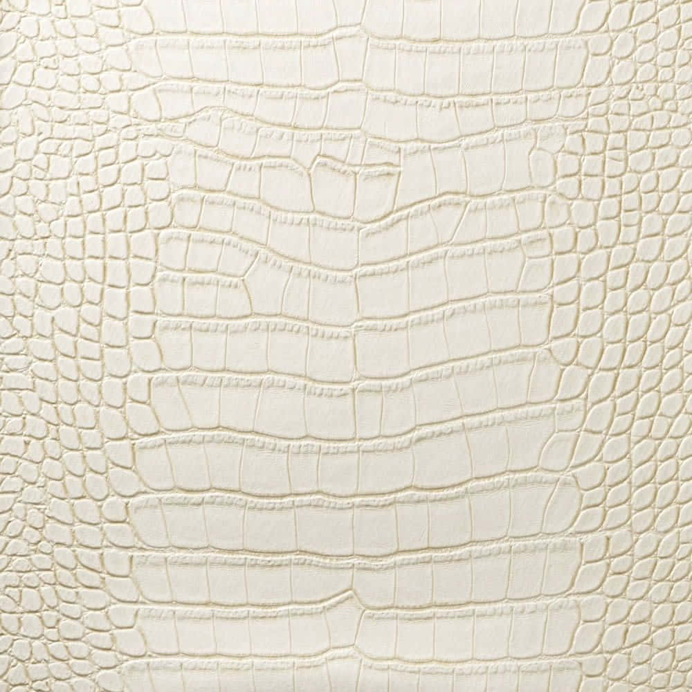 Elegant and Minimalist Cream Colored Texture Wallpaper