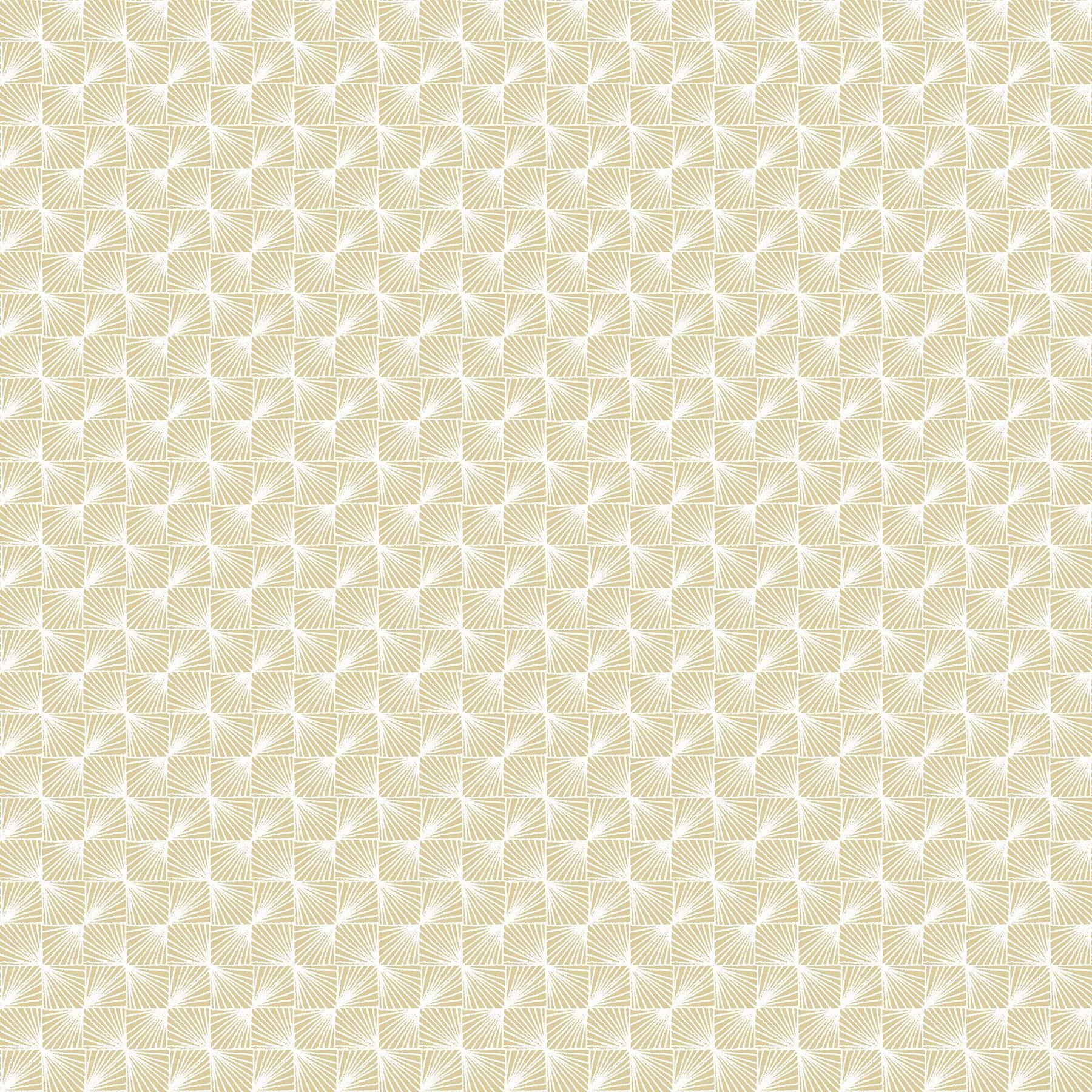 Cream Color Background Shapes Lines
