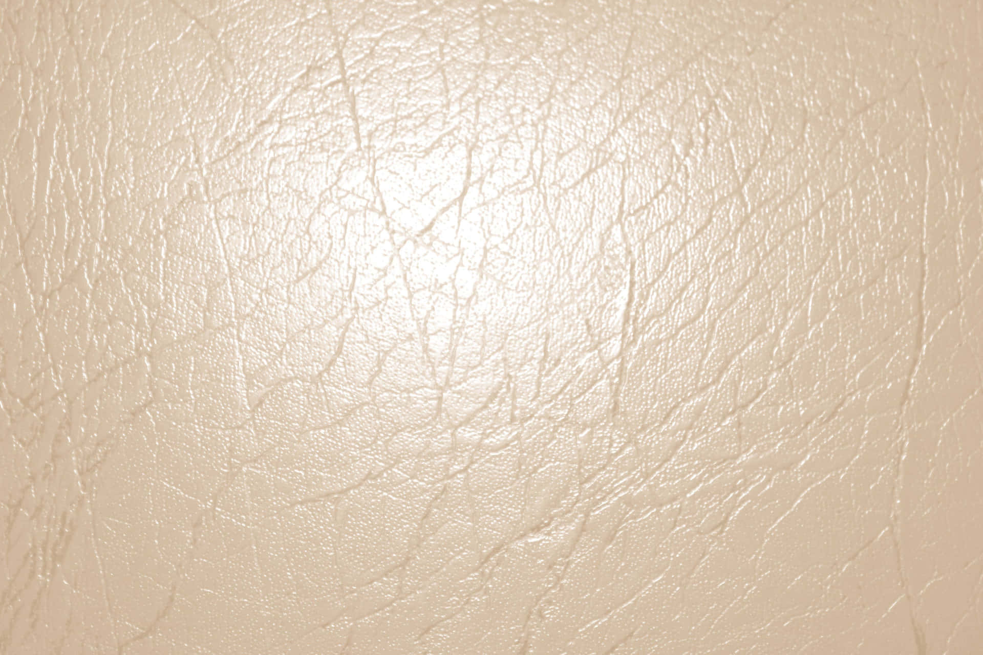 Cream Color Background Shiny Leather