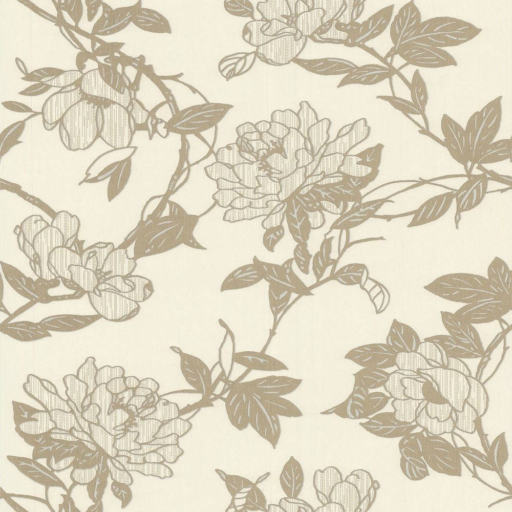 Cream Roses Thorns Wallpaper