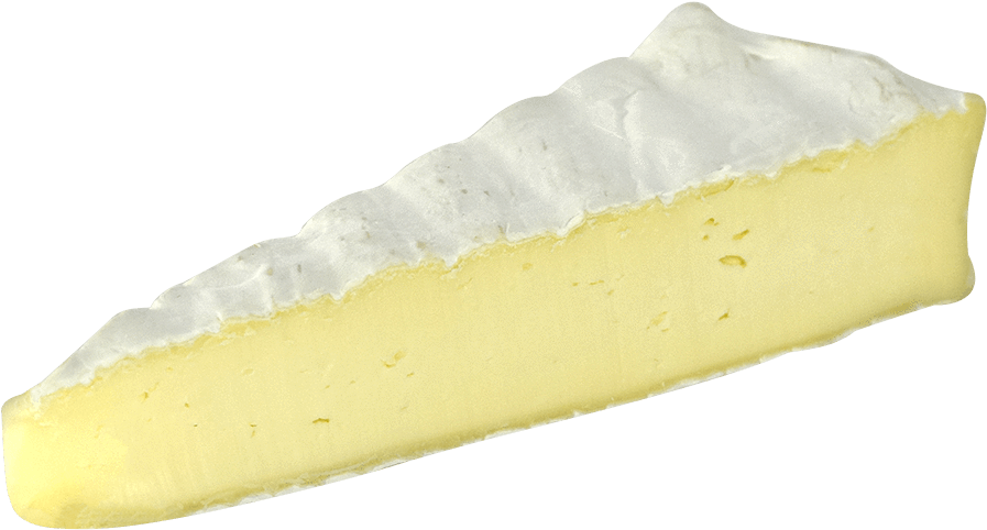 Creamy Cheesecake Slice Isolated PNG