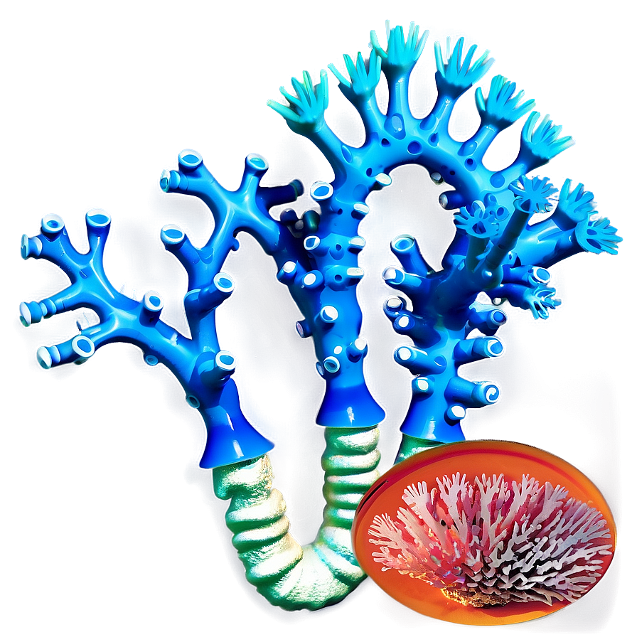 Creating Artificial Coral Structures Png 05242024 PNG