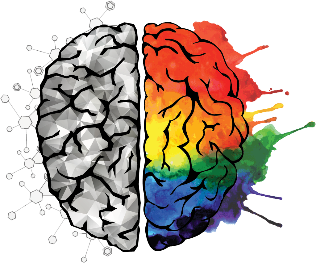 Creative Logical Brain Hemispheres PNG