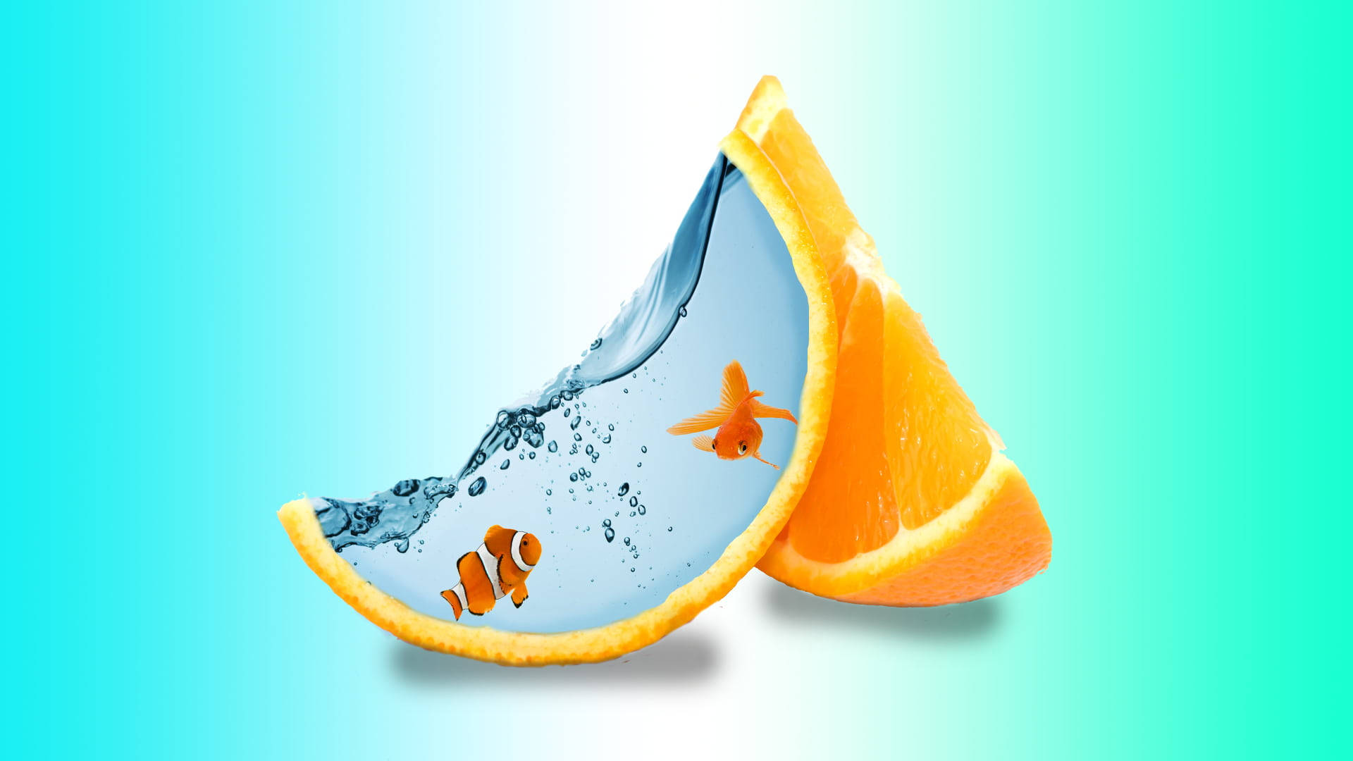 Creative Orange Slices Background