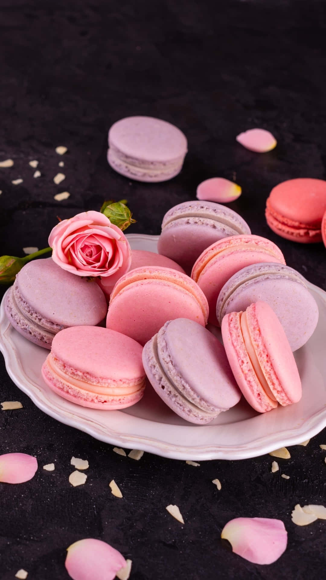 Download Macaron Wallpaper and Backgrounds for your Phone – Olive & Piper