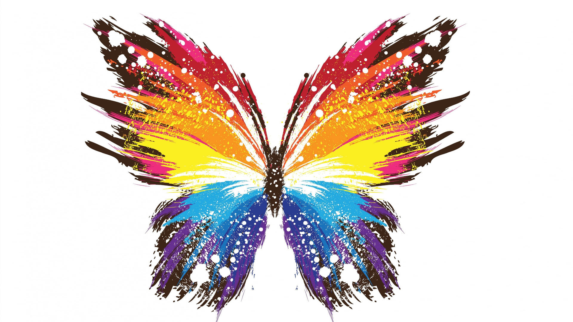 Creative Rainbow Butterfly Paint Wallpaper