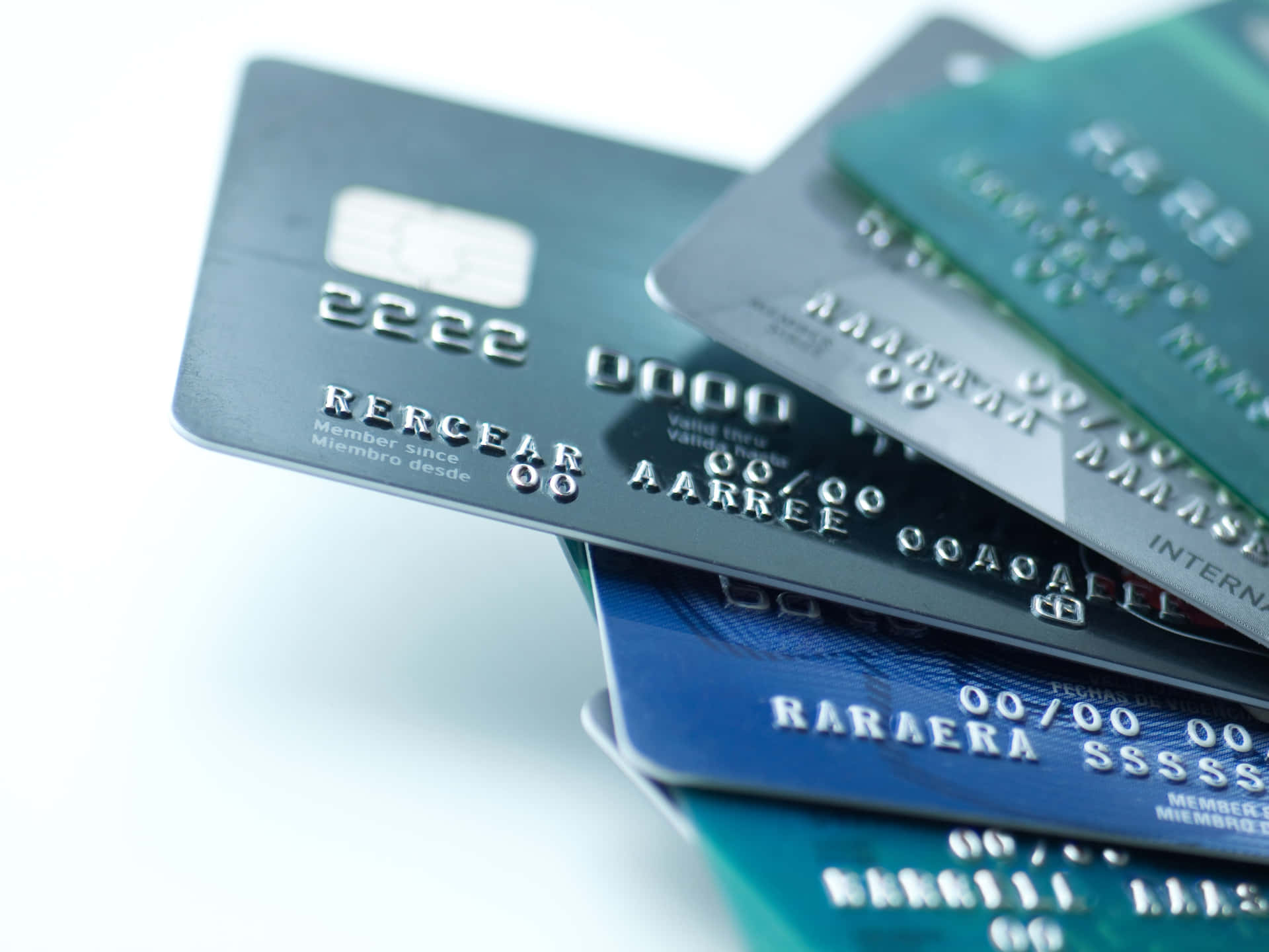 Enhög Med Kreditkort På En Vit Bakgrund