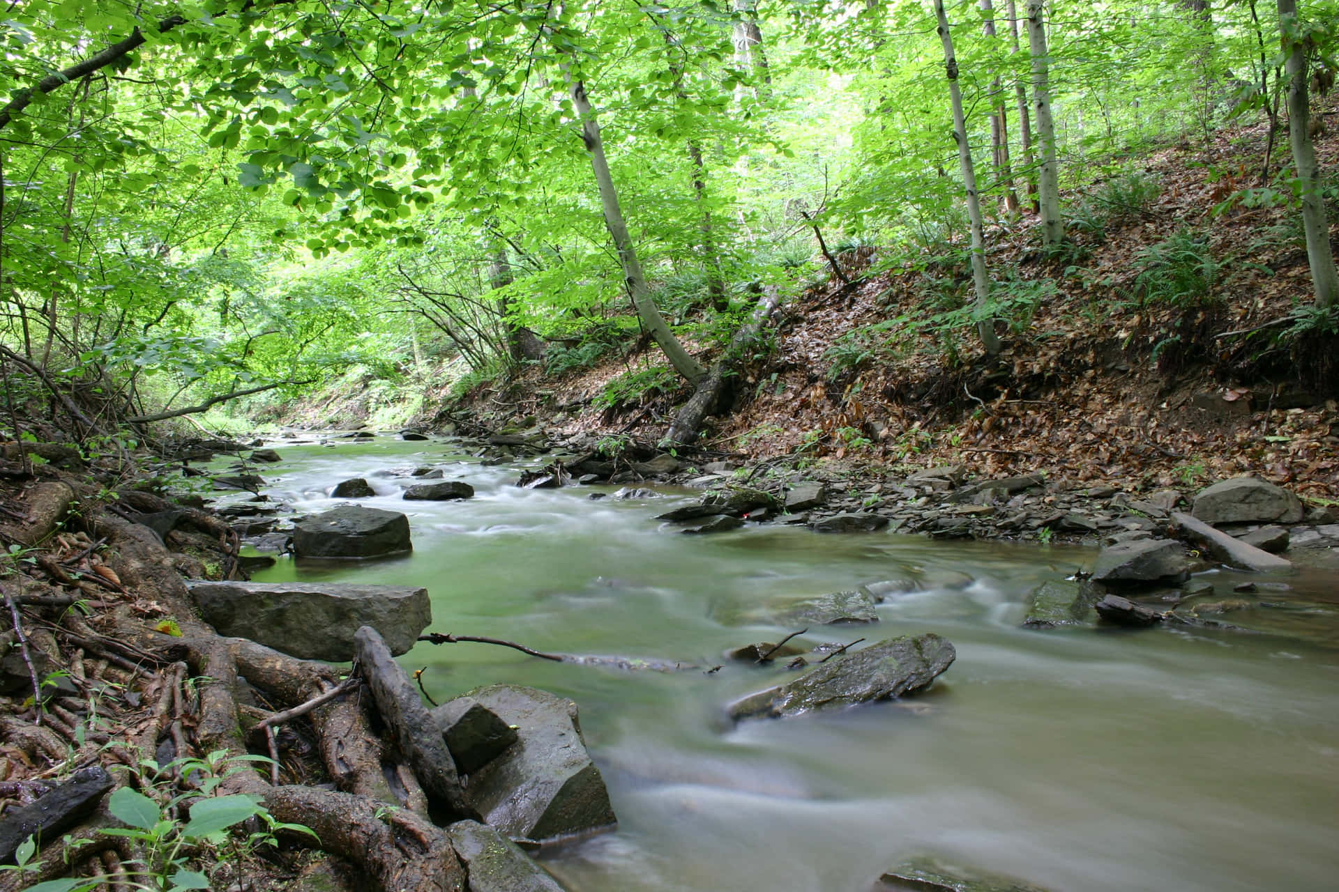 A peaceful nature scene, a babbling creek running through grassy hills.