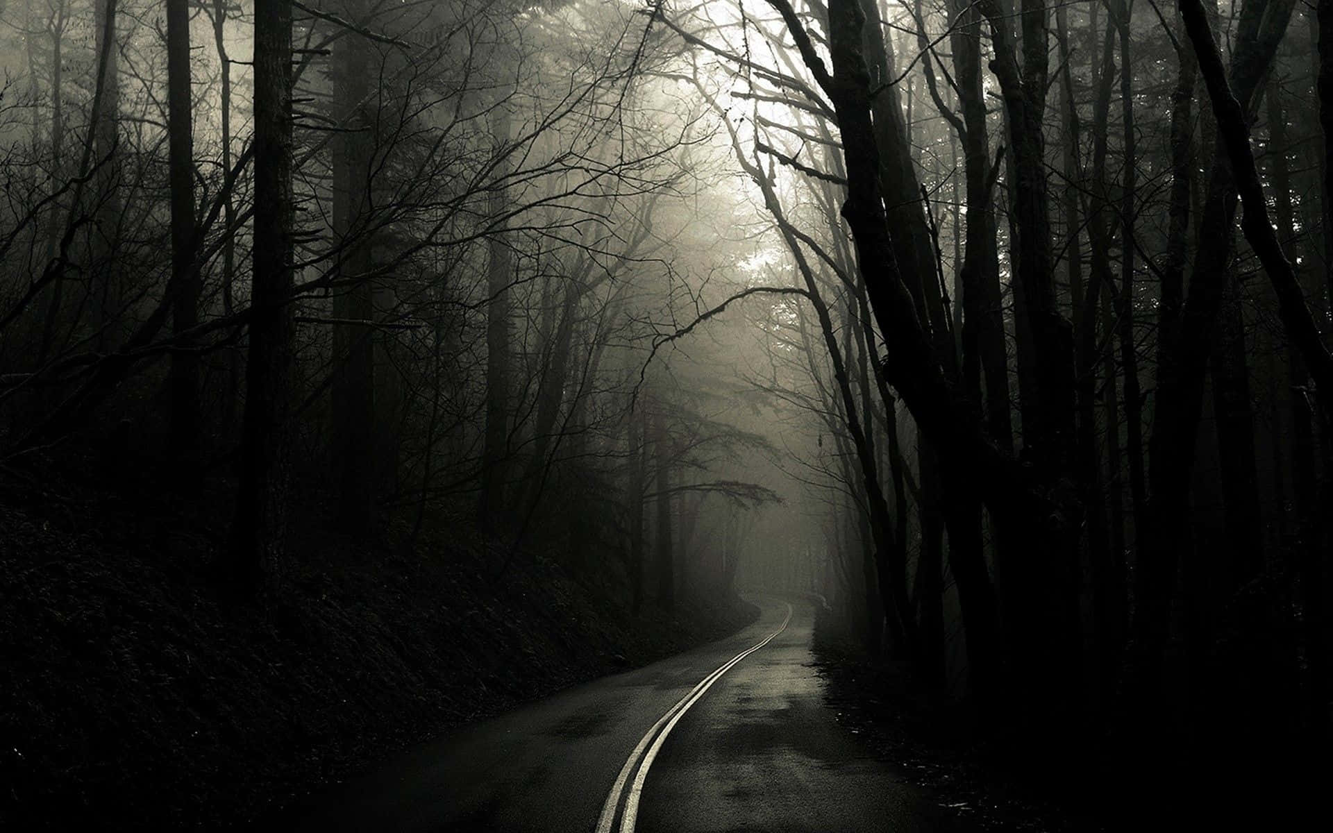 A dark and mysterious fog creeps along the edge of the woods. Wallpaper