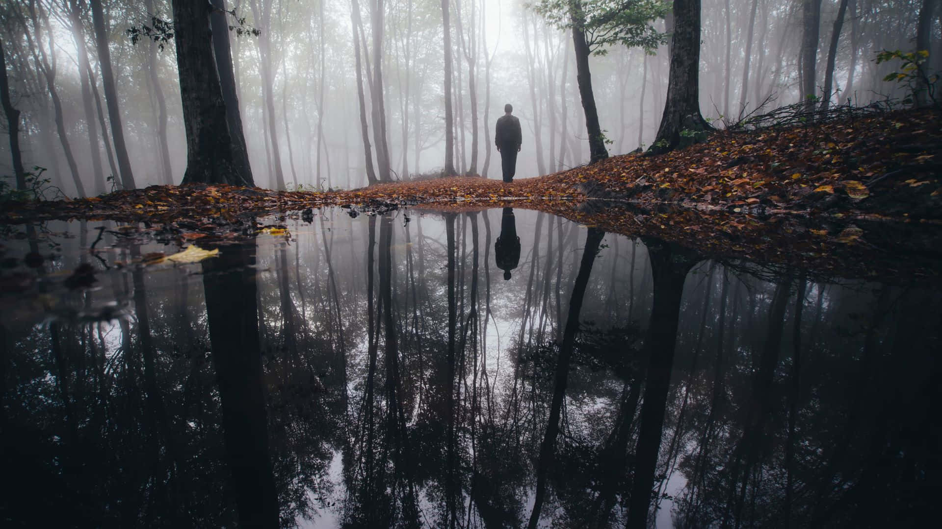 a man standing in a foggy forest