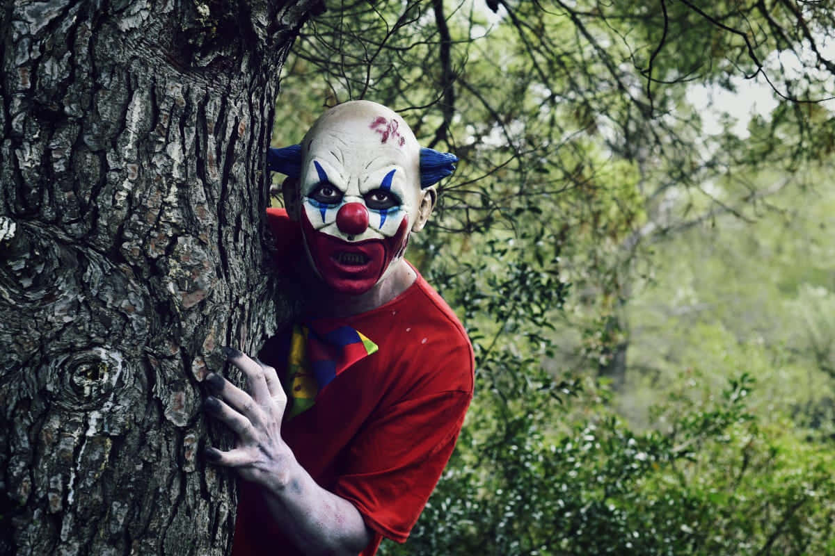 Bösegruselige Clown Im Wald Bild