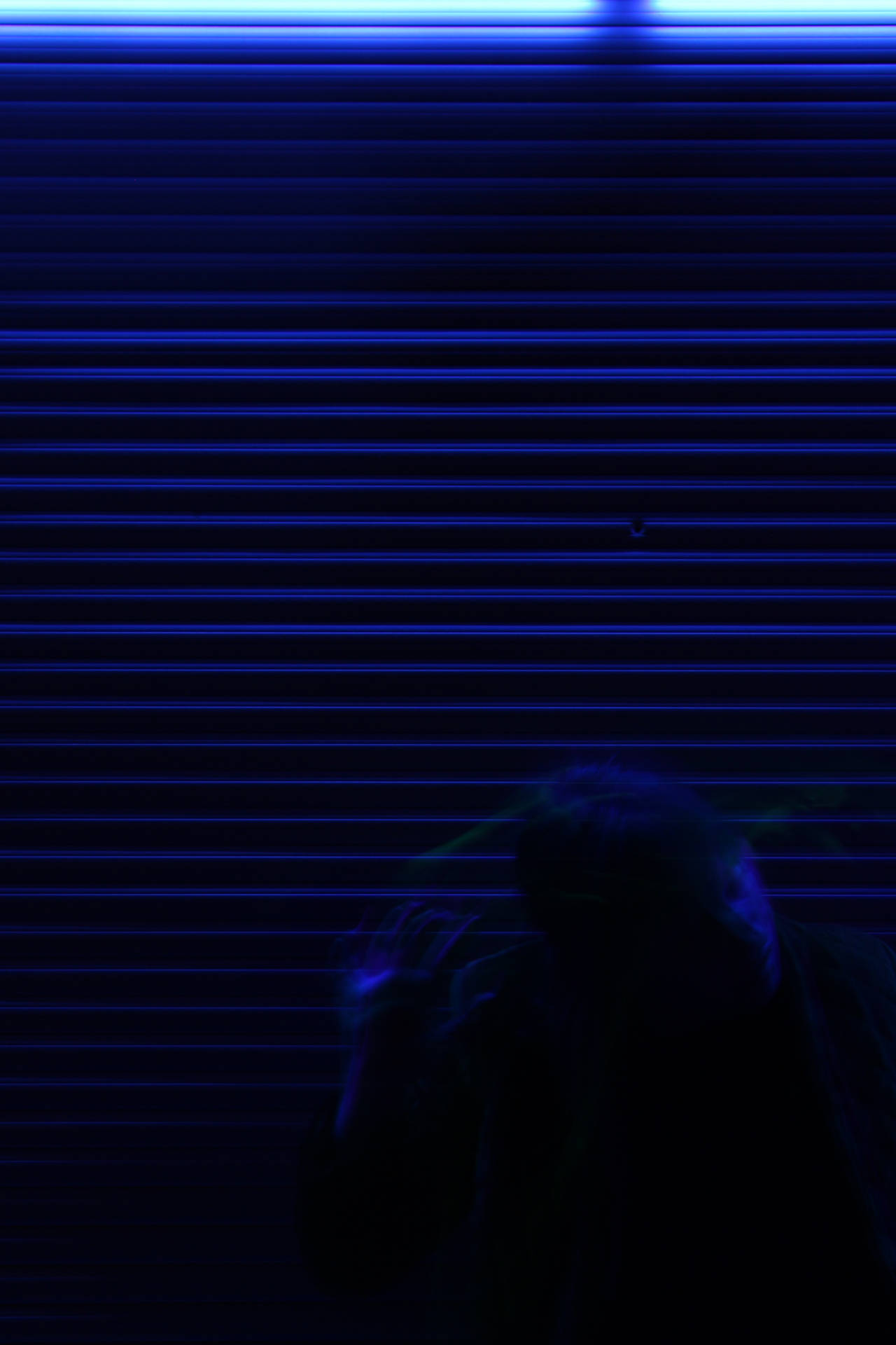 Spooky blue blinds Wallpaper