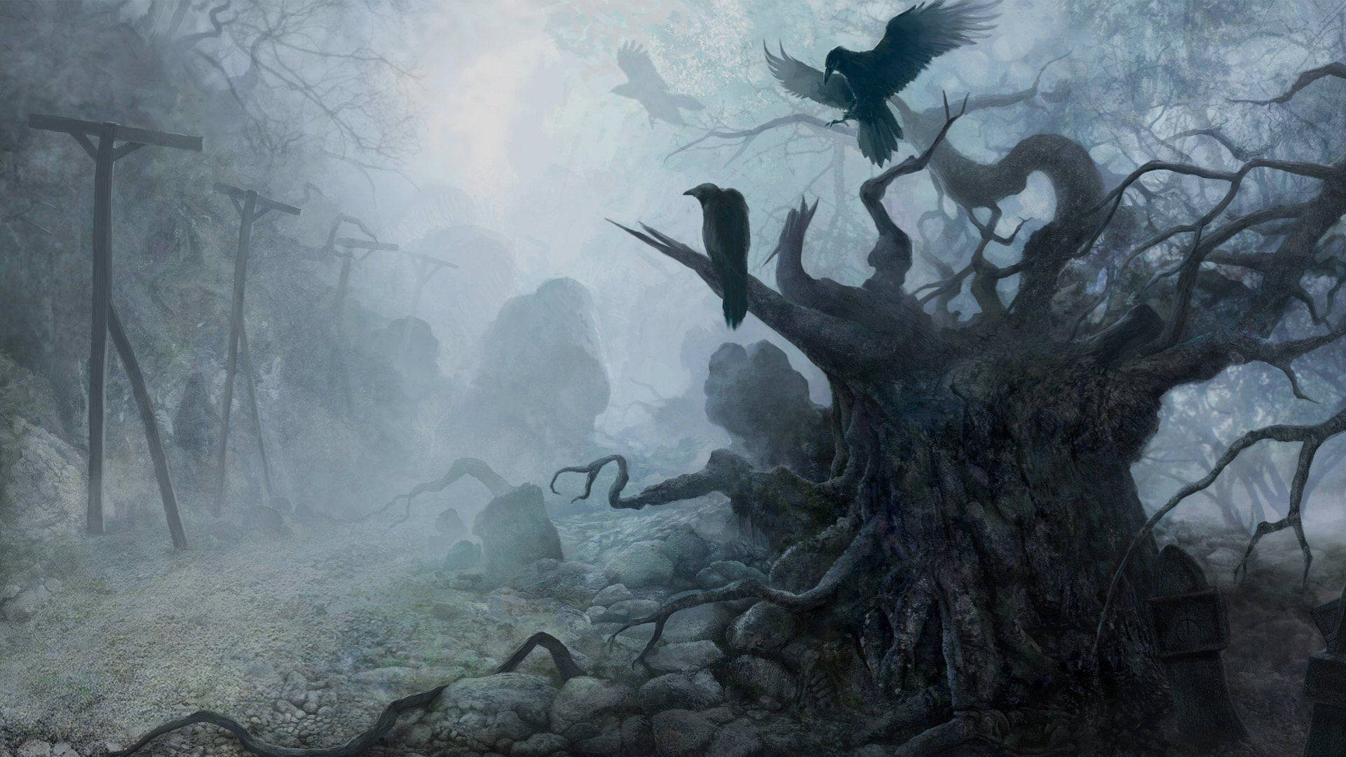 A glimpse of an eerie forest Wallpaper