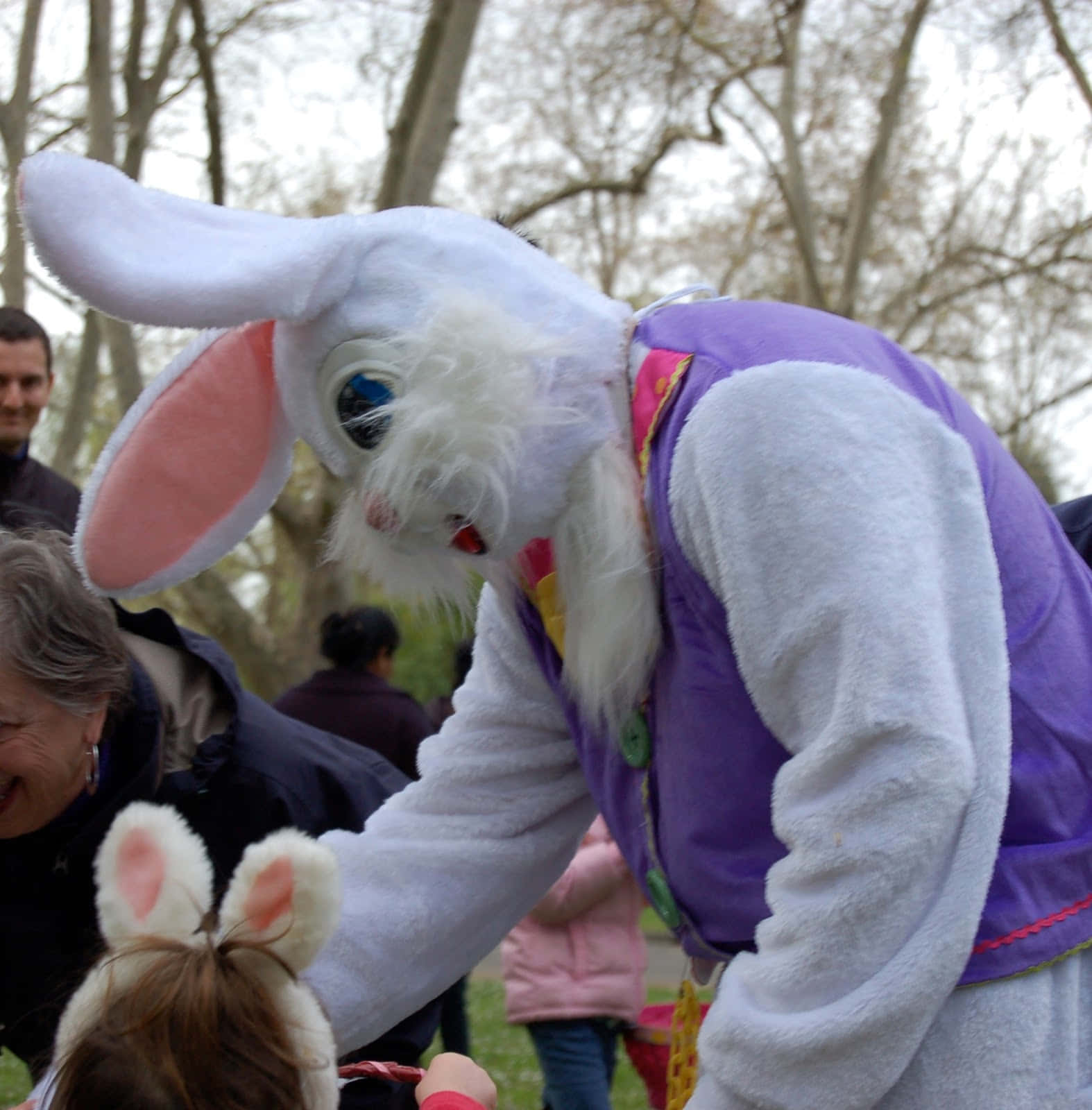 Attenzioneal |coniglio Di Pasqua Inquietante|