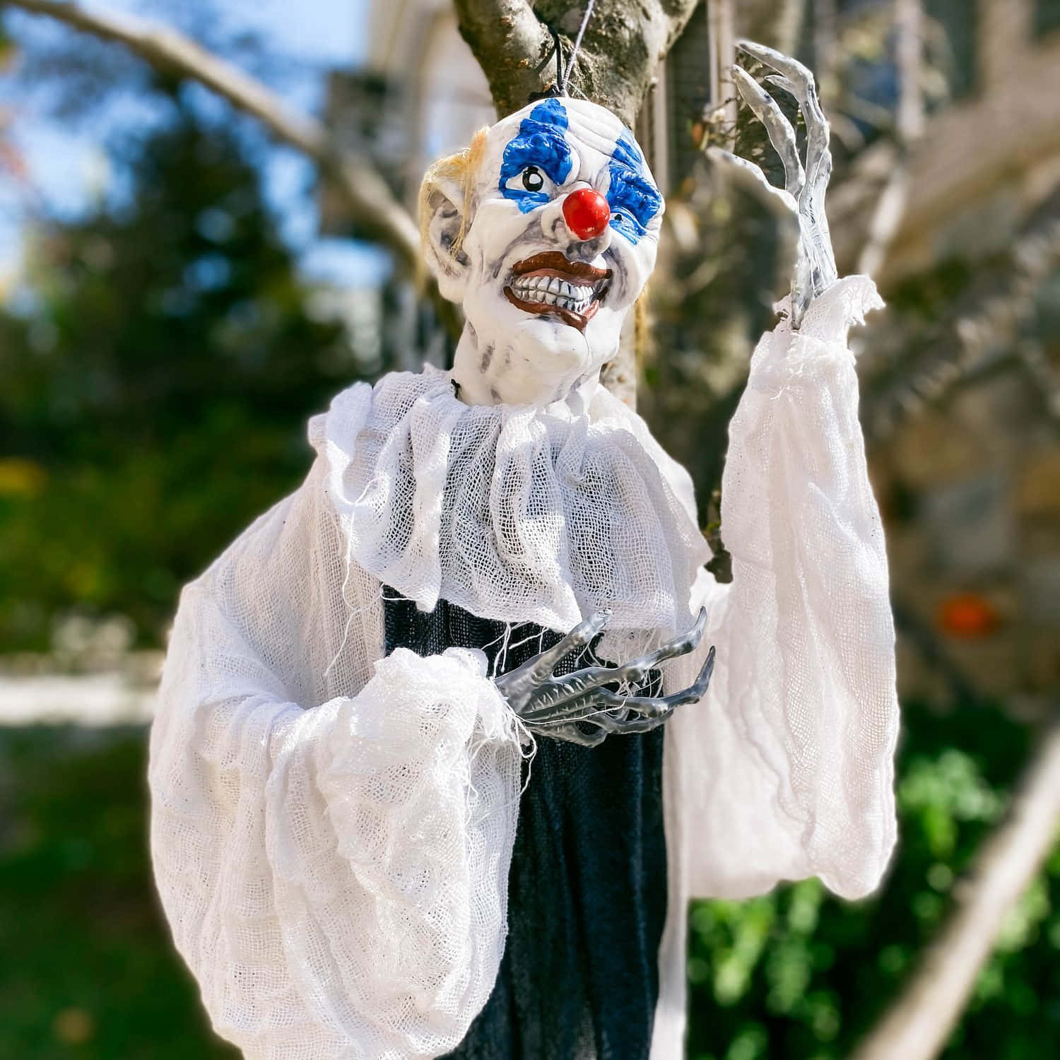 A Clown Hanging From A Tree In A Yard