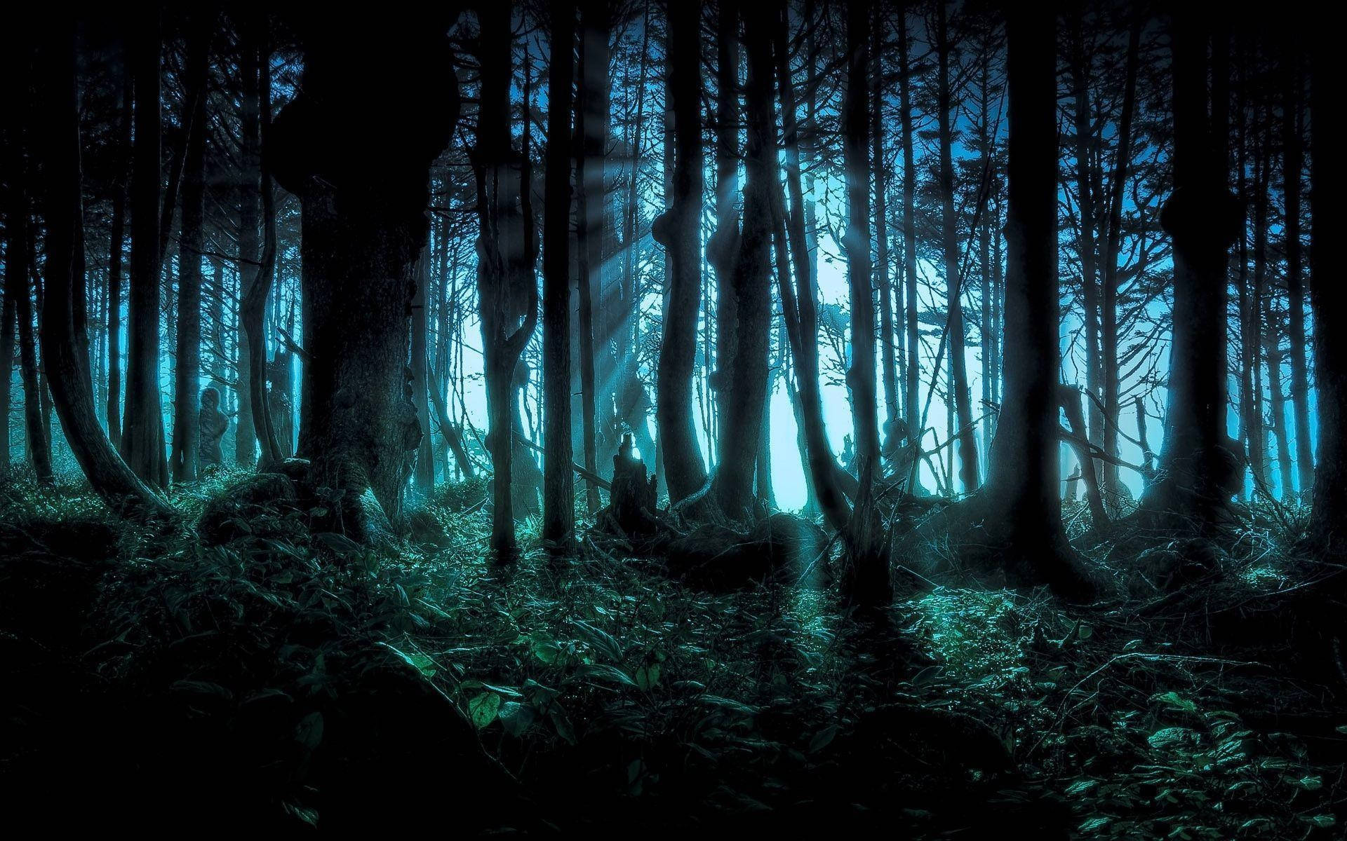 Creepy Mystery Forest Digital Artwork Background