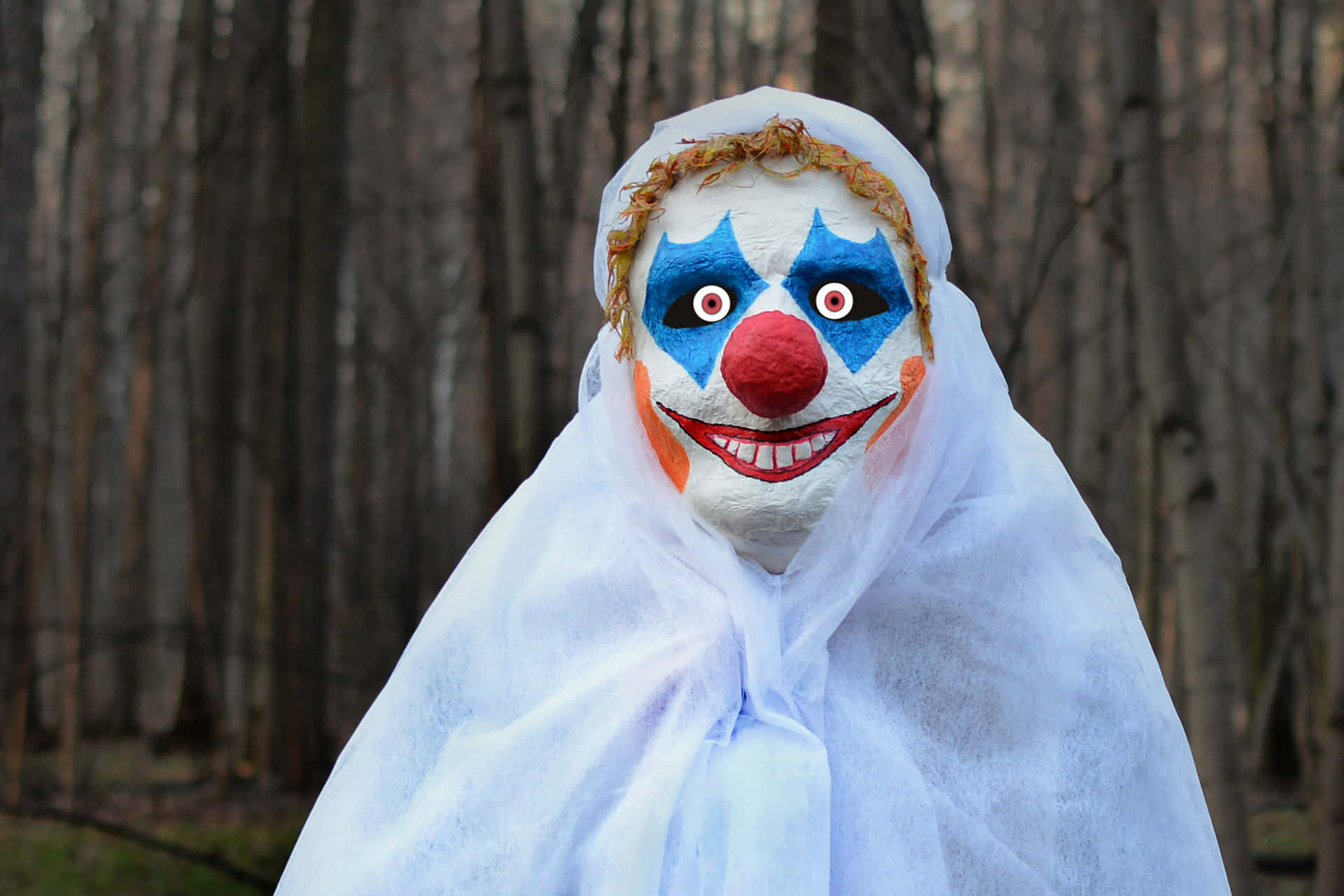 Creepy Clown Mask Picture