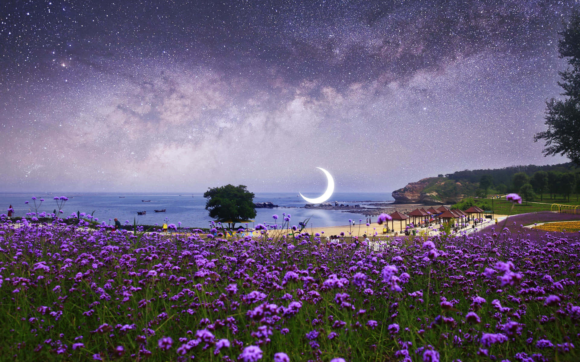 Crescent Moon Over Lavender Field Nightscape Wallpaper