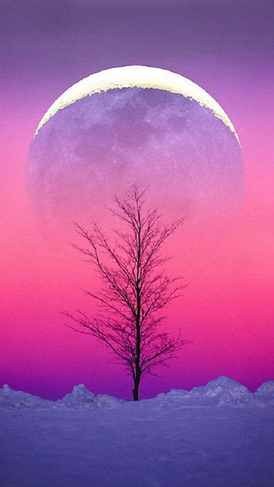 Crescent Moon Over Solitary Tree Wallpaper