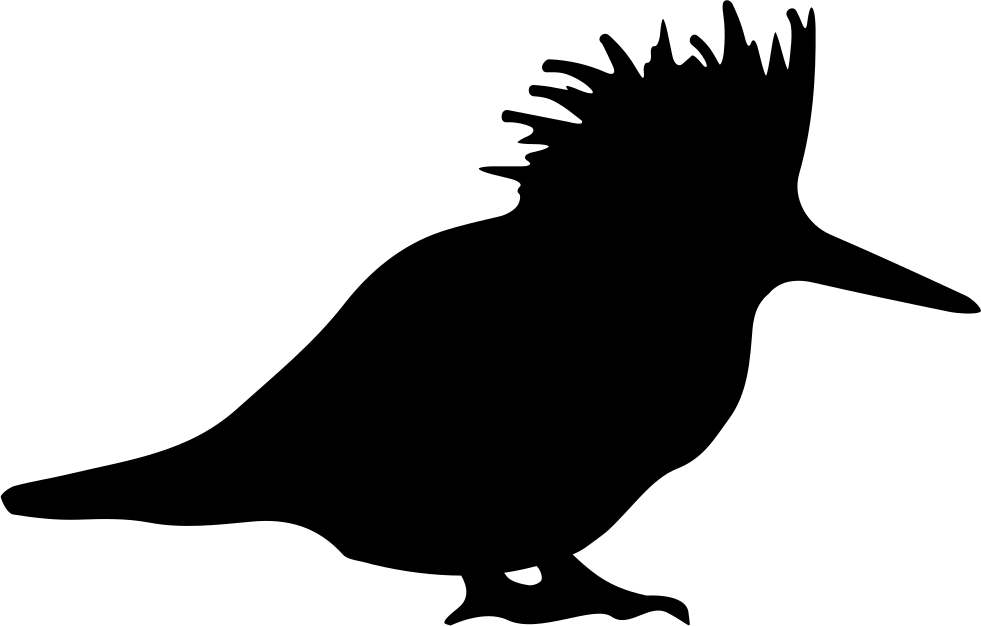 Crested Bird Silhouette Graphic PNG
