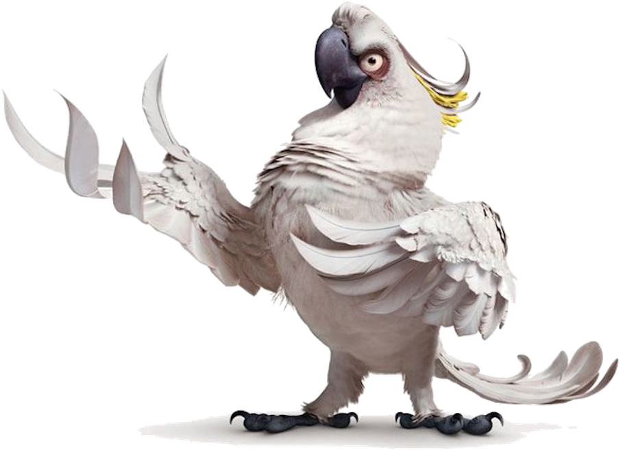 Crested Cockatoo Pose PNG