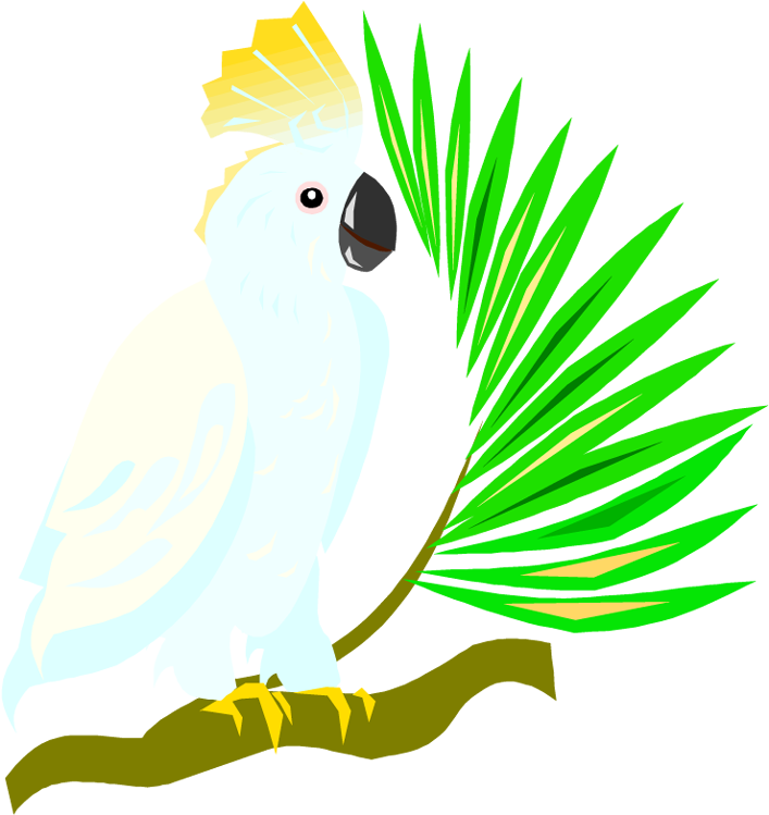 Crested Cockatoo Vector Illustration PNG