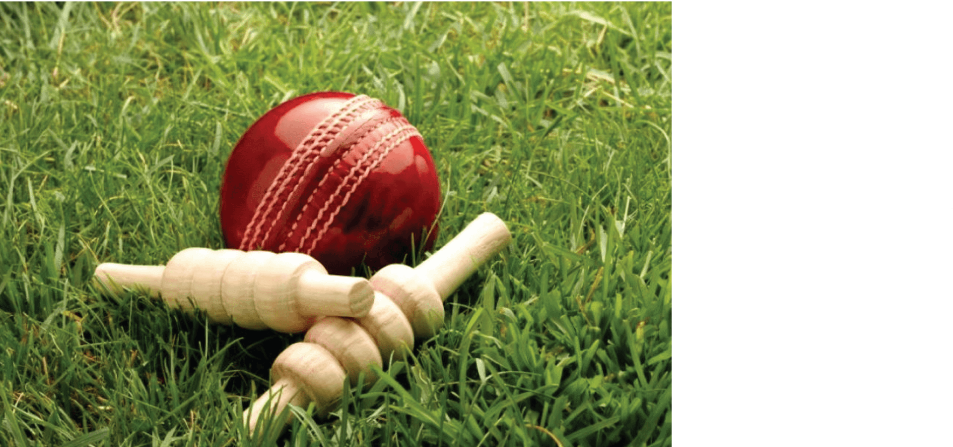 Cricket Balland Bailson Grass PNG
