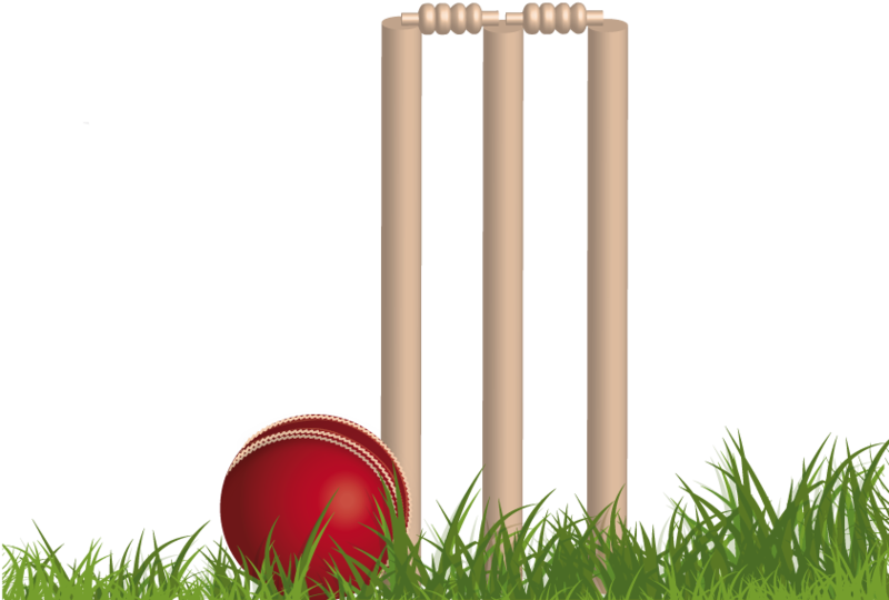 Cricket Balland Stumps PNG