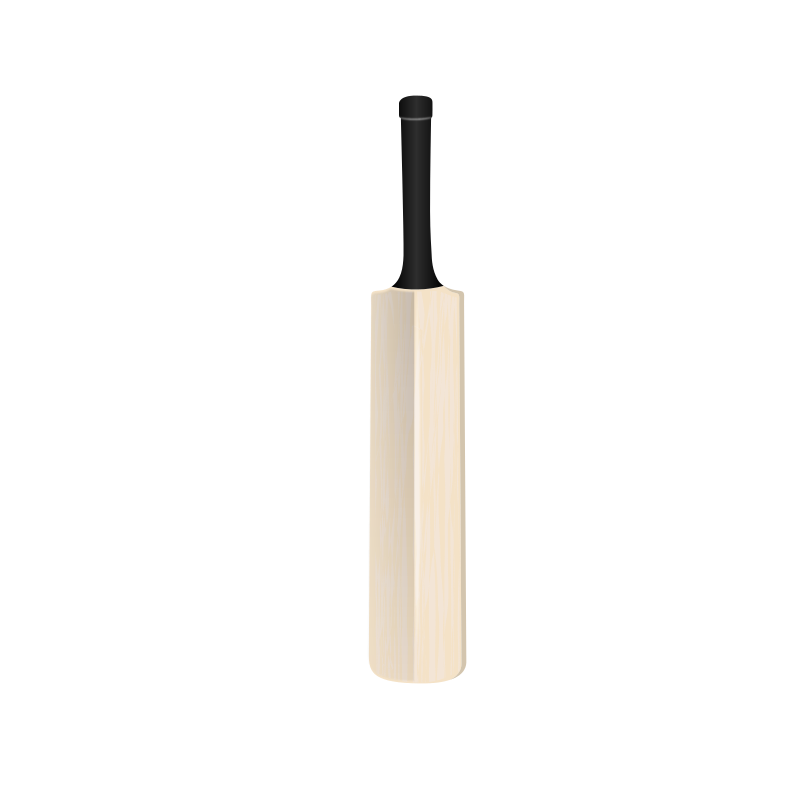 Cricket Bat Isolatedon Black PNG