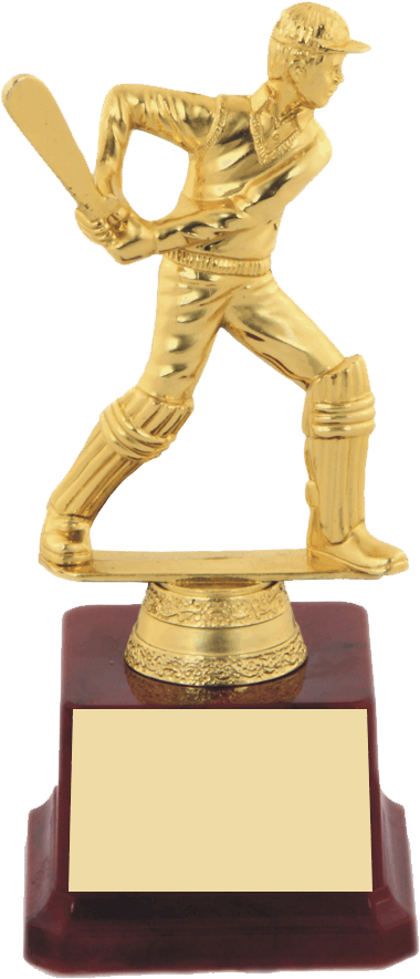 Cricket Batsman Trophy PNG