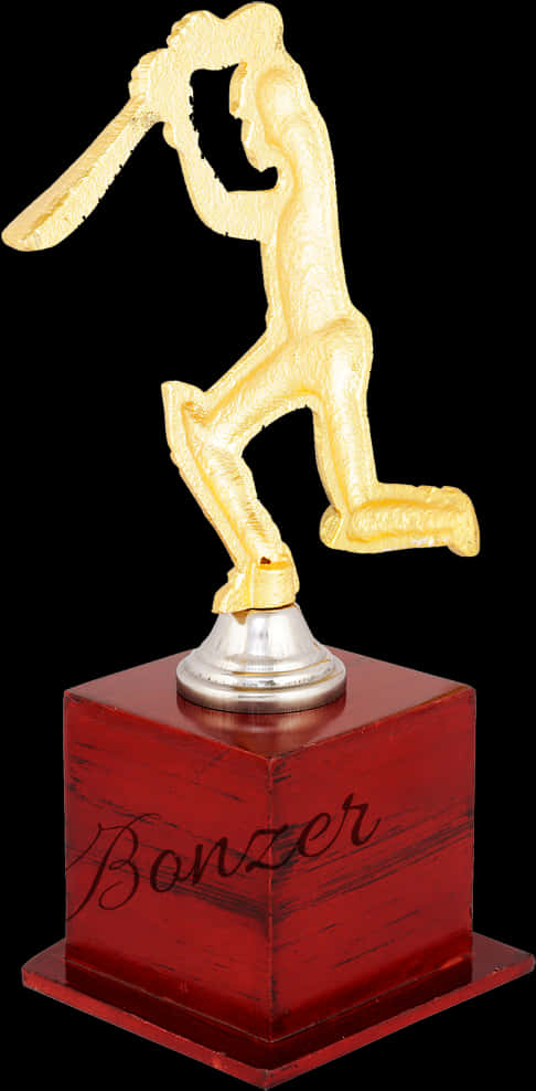 Cricket Batsman Trophy PNG