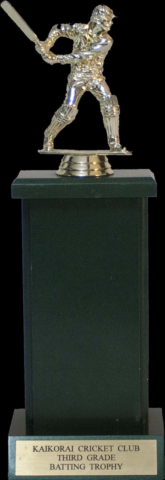 Cricket Batting Trophy Award PNG