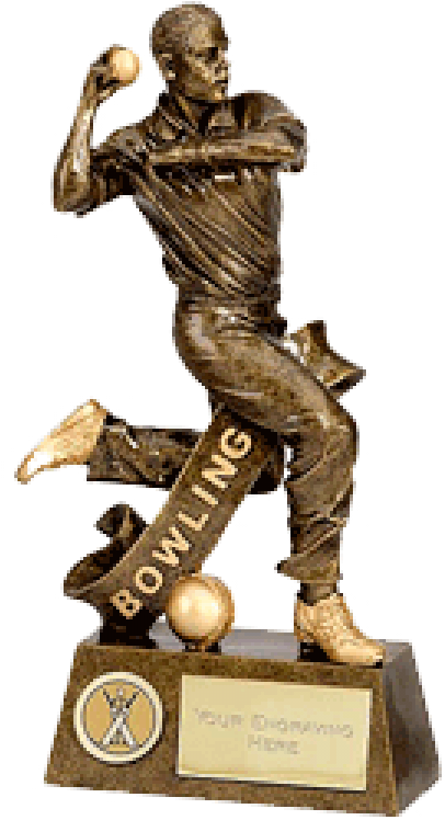 Cricket Bowling Trophy PNG