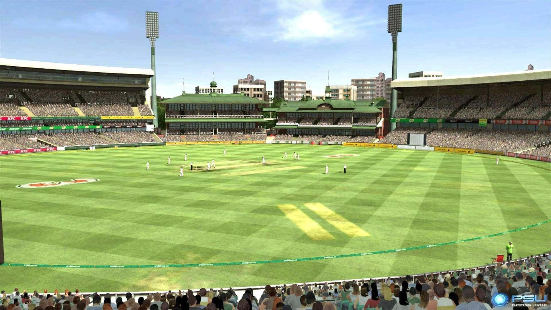 Captivating Cricket Ground Bathes in Soft Sunlight