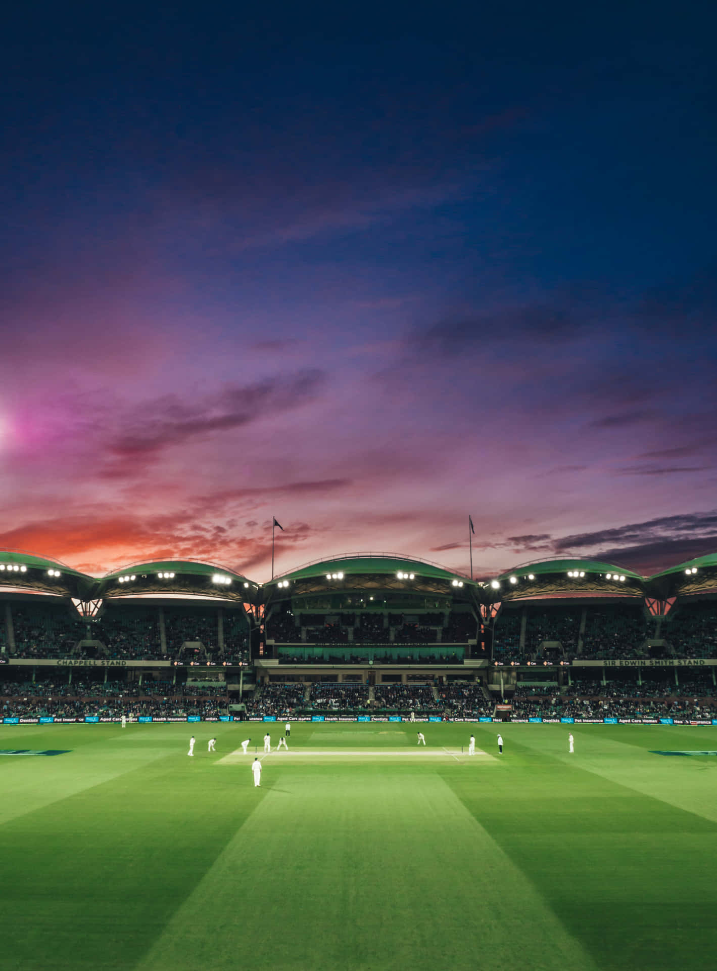 Upplevspänningen Med Cricket På En Stadion