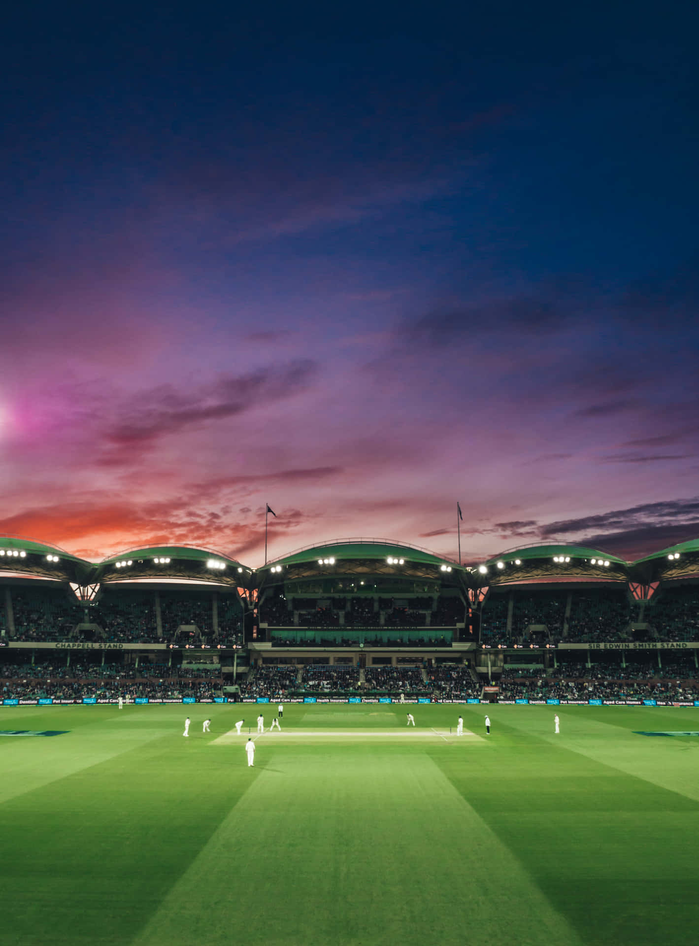 Vivil'emozione Del Cricket In Uno Stadio