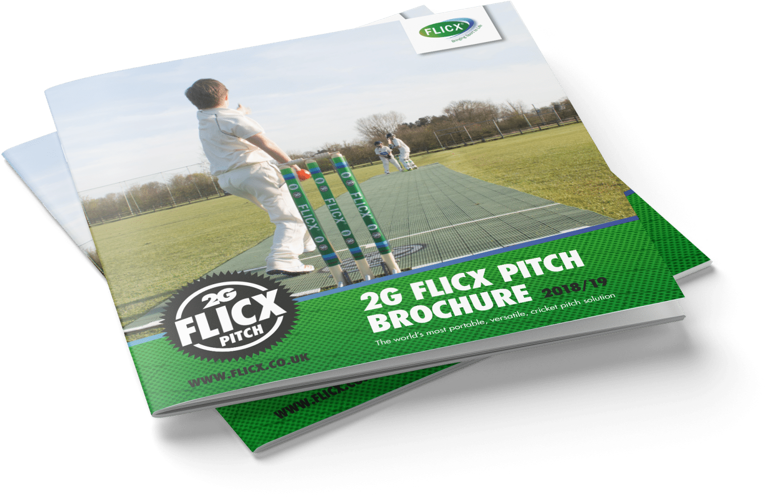 Cricket Pitch Brochure Mockup20182019 PNG