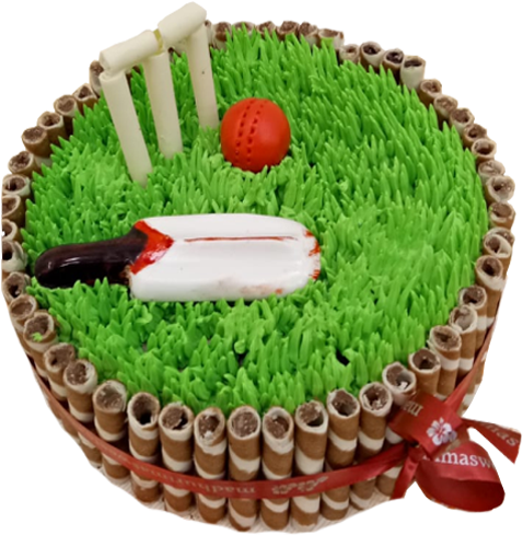 Cricket Themed Celebration Cake PNG