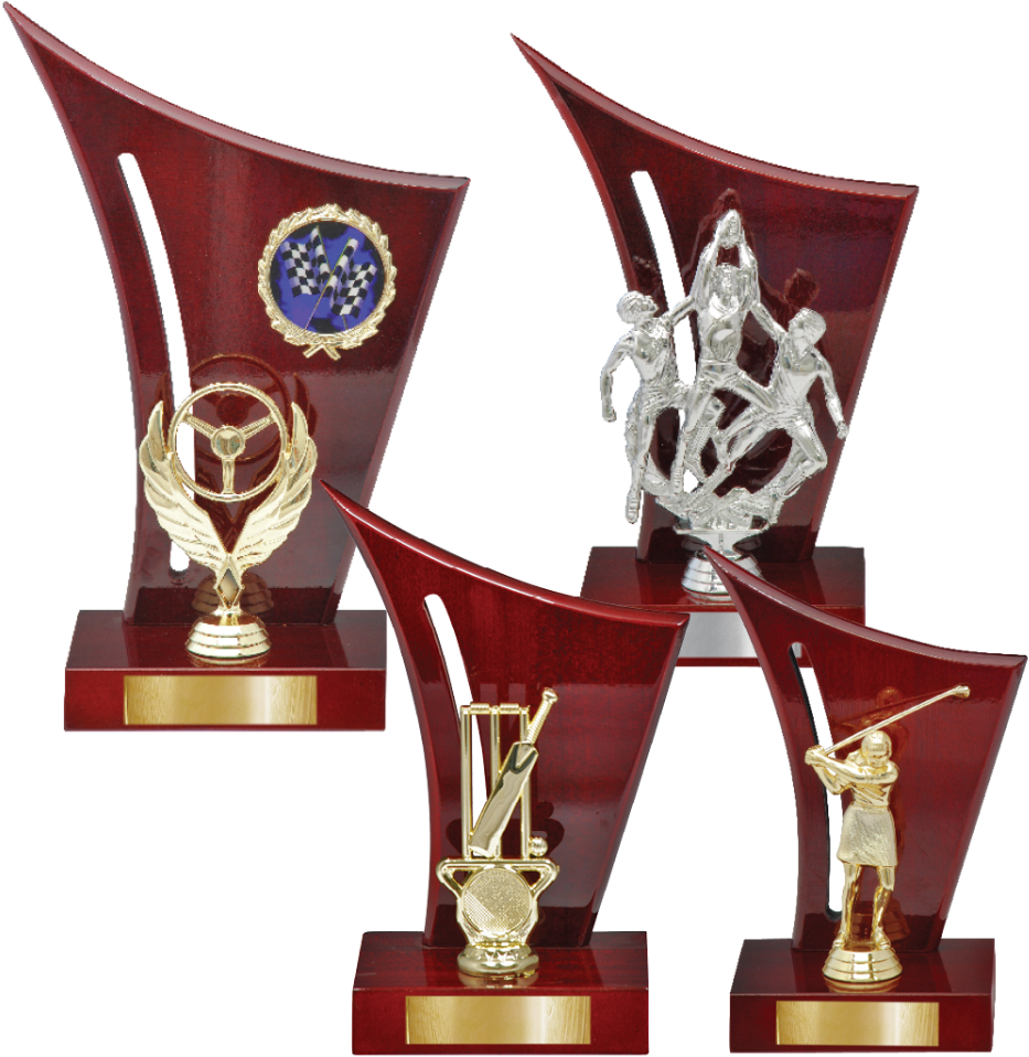 Cricket Trophies Collection PNG