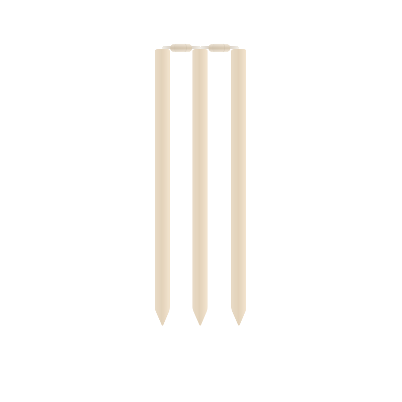 Cricket Wickets Icon PNG