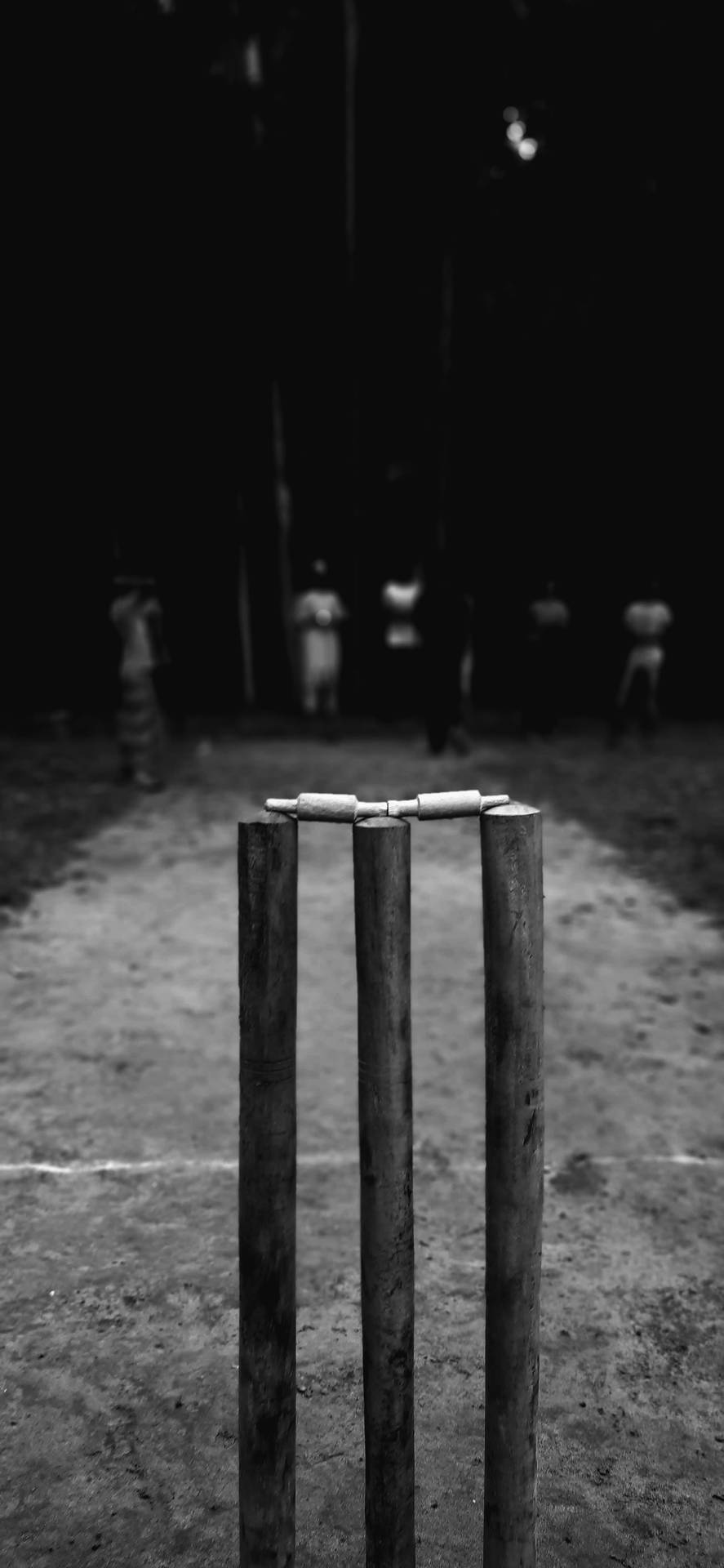 Cricket Wooden Stump In Greyscale Wallpaper