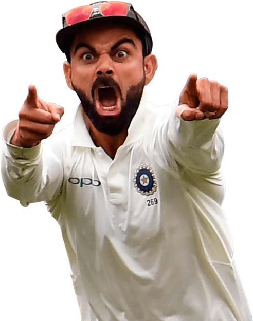 Cricket_ Player_ Celebration_ Moment.png PNG