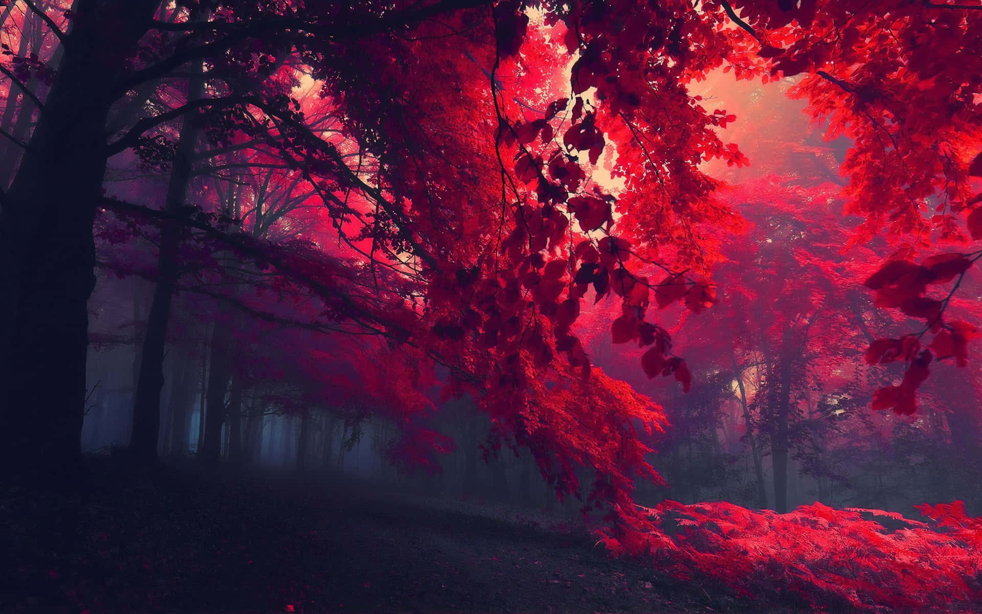 Crimson_ Forest_ Mystique.jpg Wallpaper