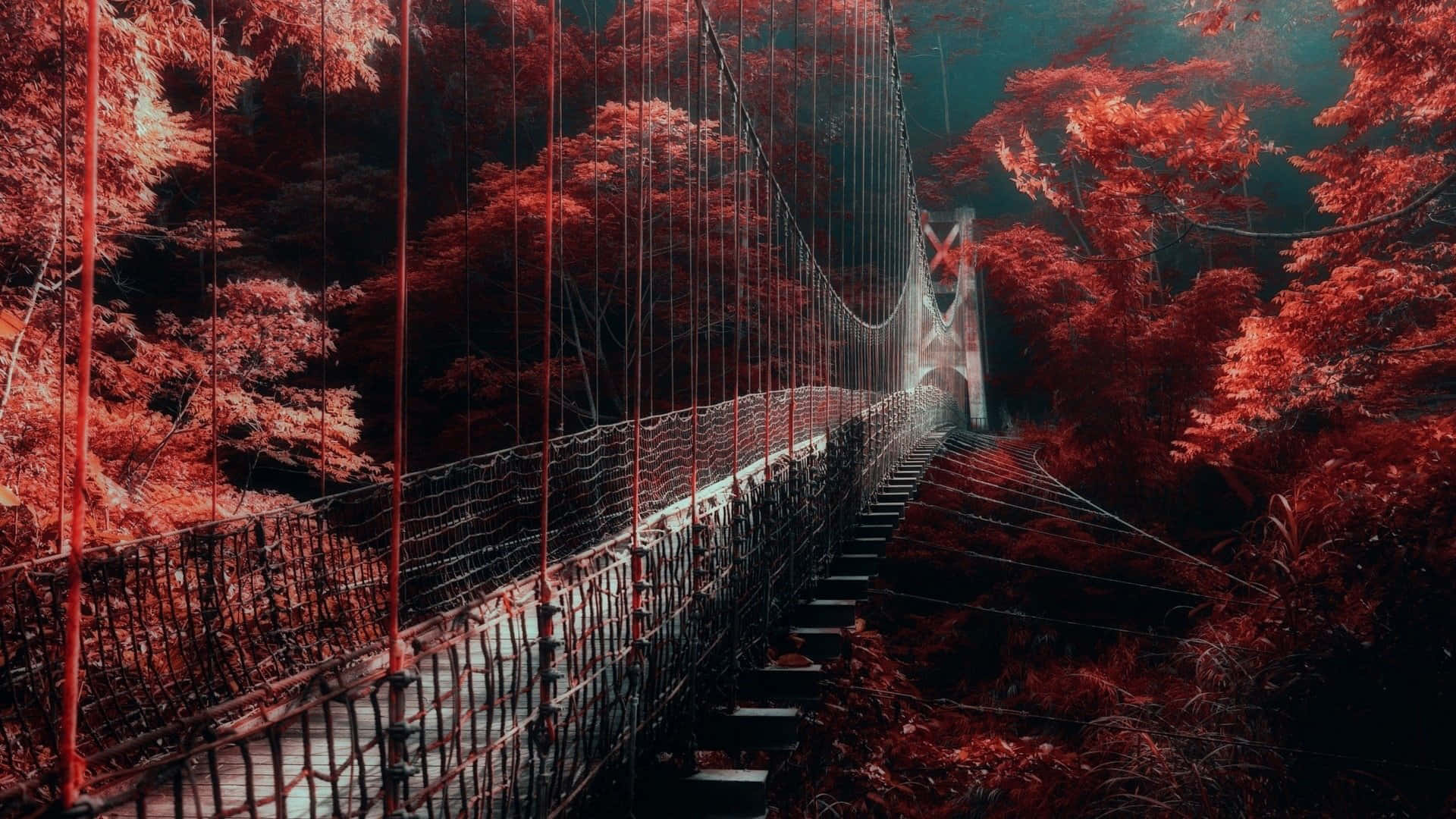 Crimson_ Forest_ Suspension_ Bridge.jpg Wallpaper