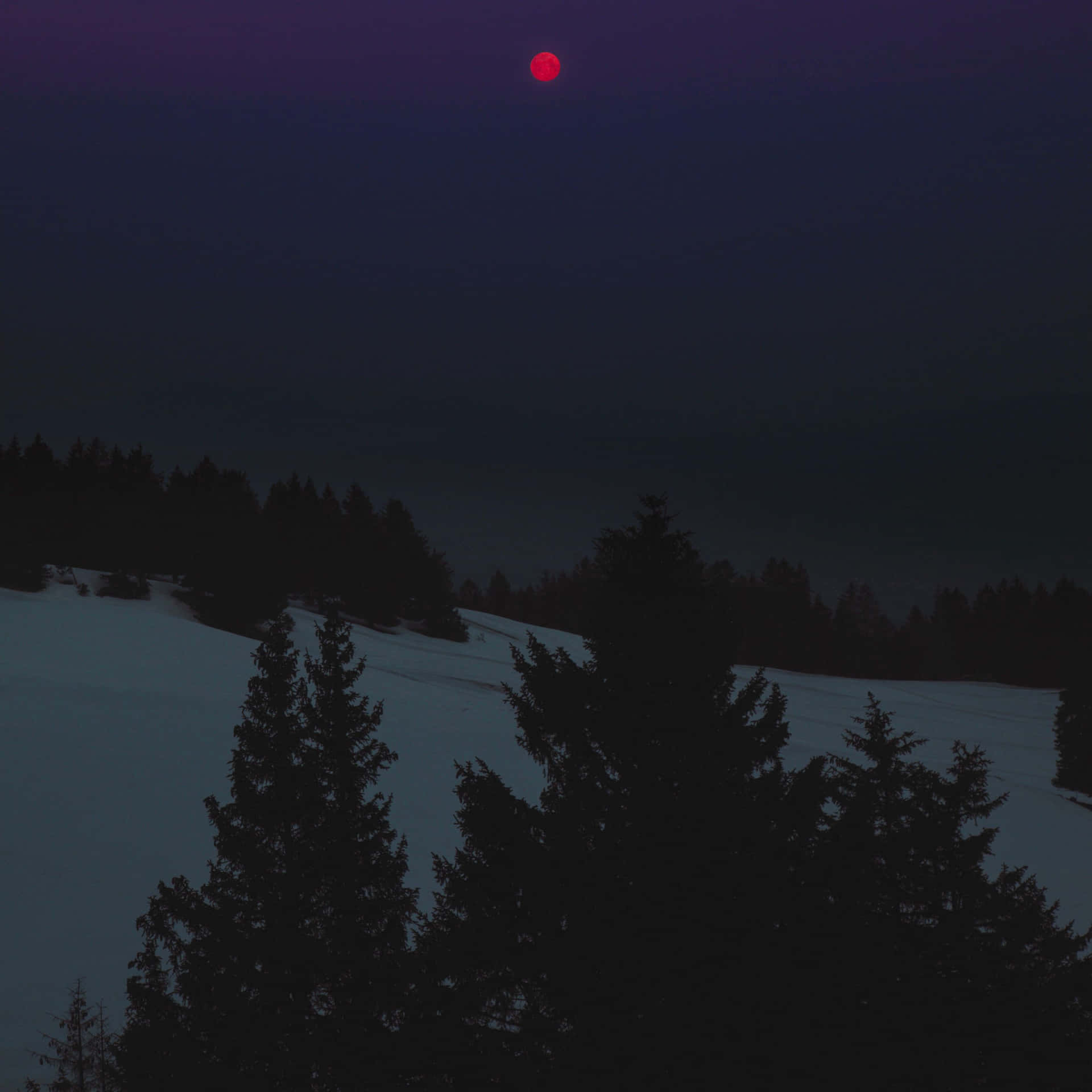 Crimson_ Moon_ Over_ Snowy_ Pines Wallpaper