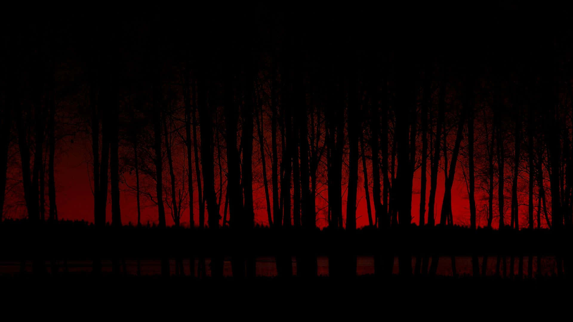 Crimson_ Silhouette_ Forest_ Dusk.jpg Wallpaper