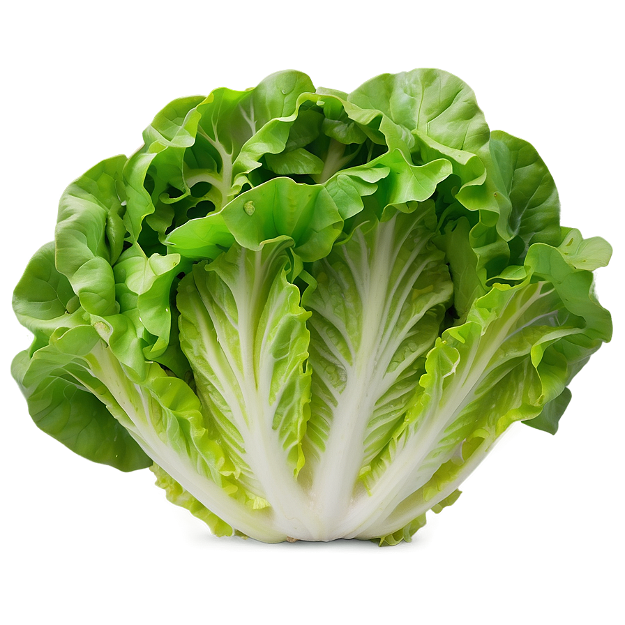 Download Crinkly Lettuce Png Oib43 | Wallpapers.com